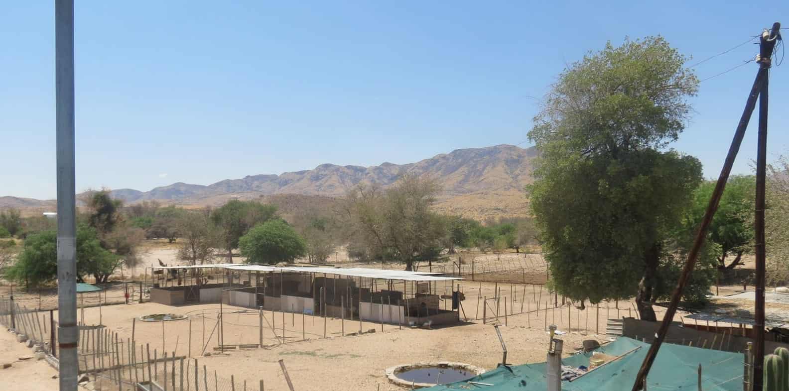 Fenced animal camp on the plot