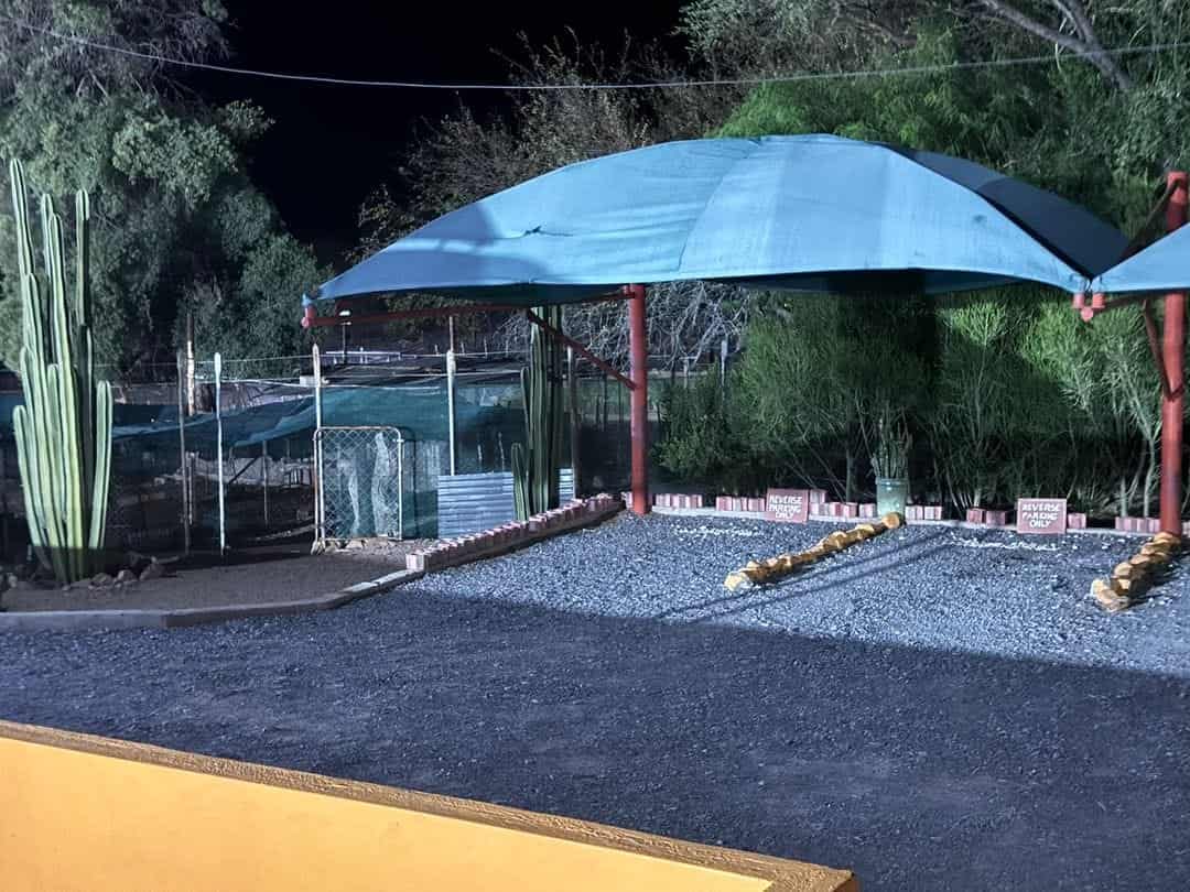Blue umbrellas over the night courtyard