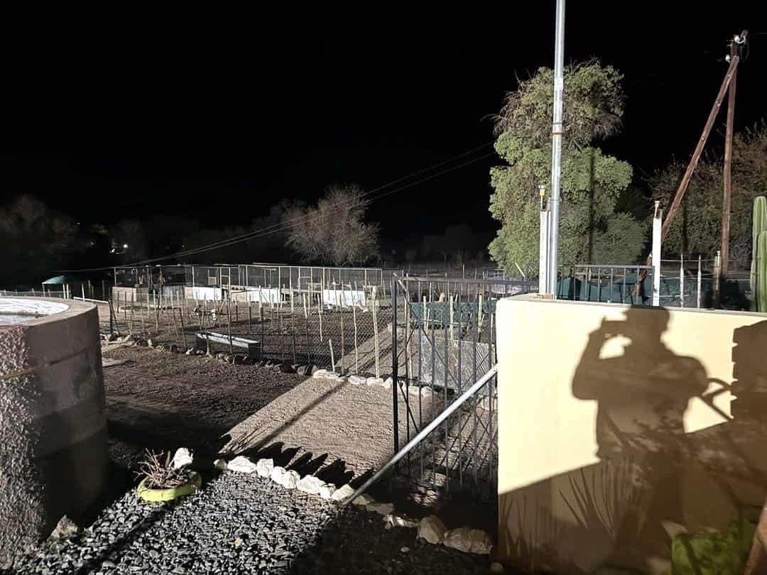 Garden and units lit up at night