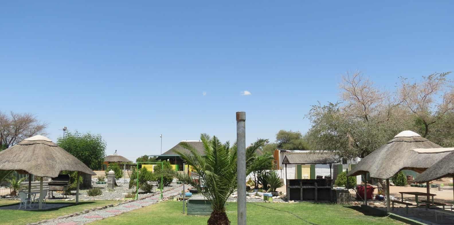 Palm trees between the lapa and the lawn