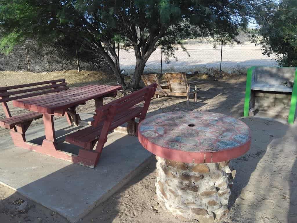 Wooden picnic table beside the stone table under the tree