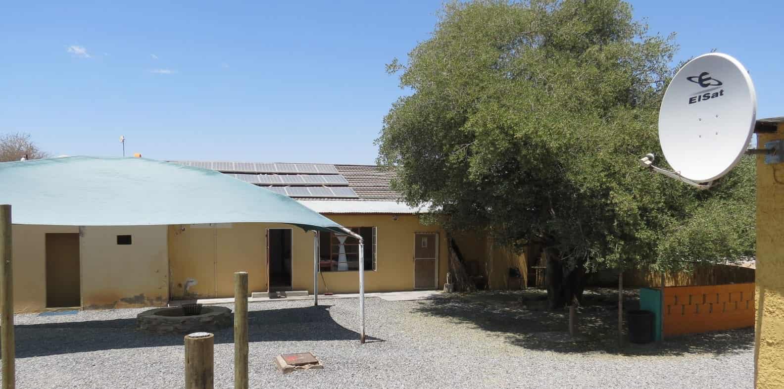 Big tree and shade sails in the back yard